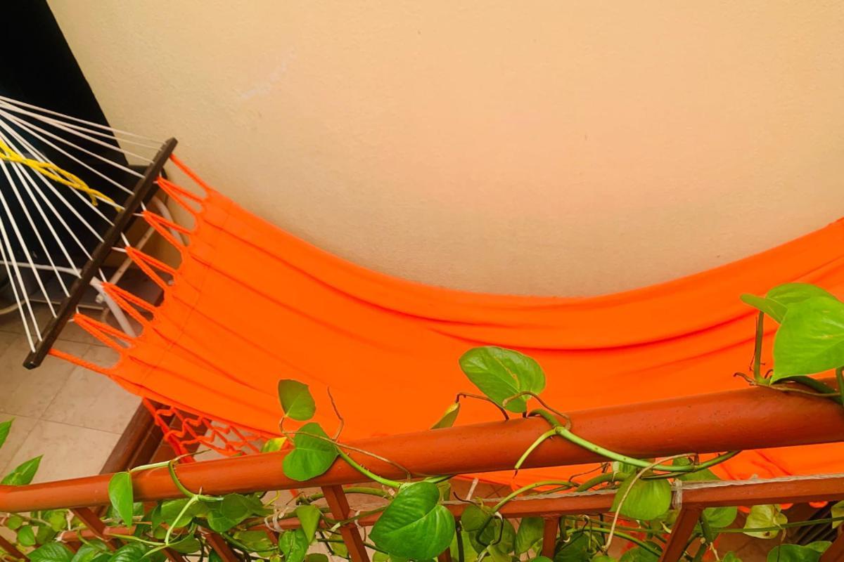 Cartagonova - Privadas Y Amplias Cerca A Zonas Turisticas